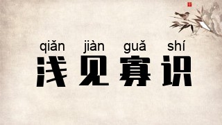 浅见寡识