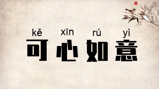 可心如意