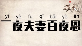 一夜夫妻百夜恩