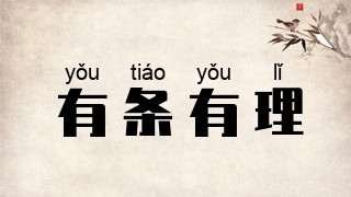 有条有理