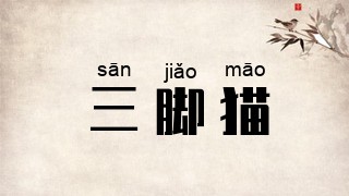 三脚猫