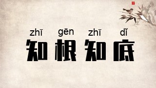 知根知底