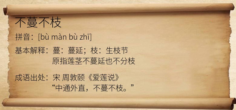 不蔓不枝
