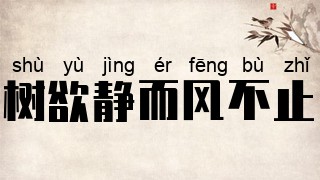 树欲静而风不止