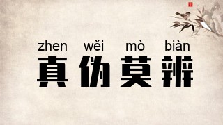 真伪莫辨