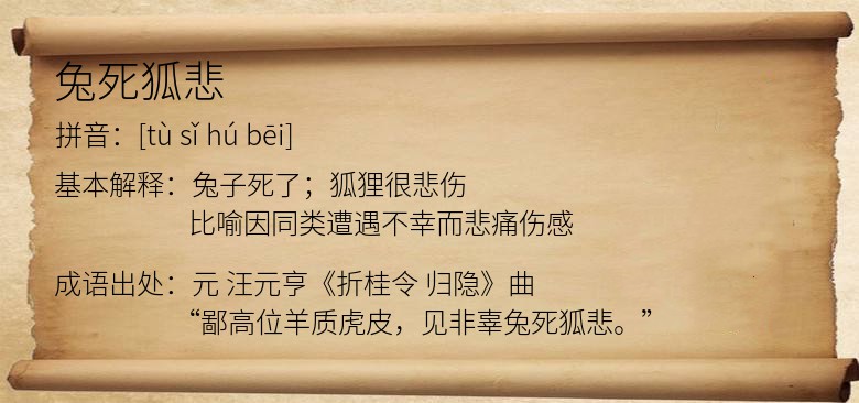 兔死狐悲