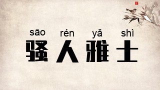 骚人雅士