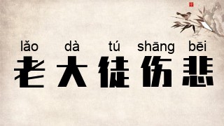 老大徒伤悲