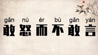敢怒而不敢言