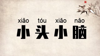 小头小脑