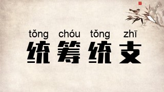 统筹统支