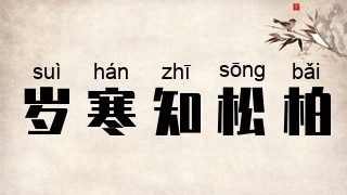 岁寒知松柏