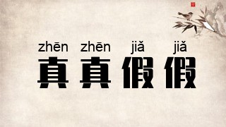 真真假假