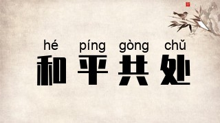和平共处
