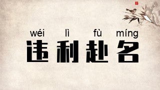 违利赴名