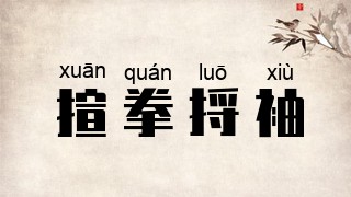 揎拳捋袖