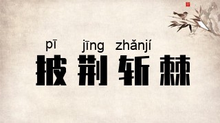 披荆斩棘