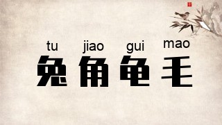 兔角龟毛