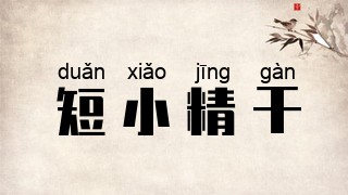 短小精干
