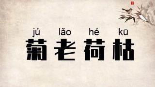菊老荷枯