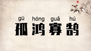 孤鸿寡鹄