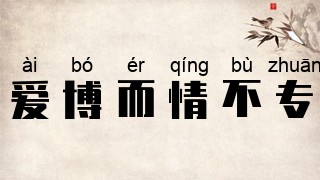 爱博而情不专