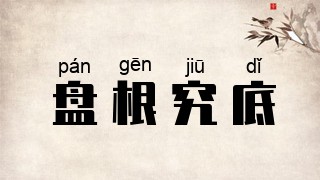盘根究底