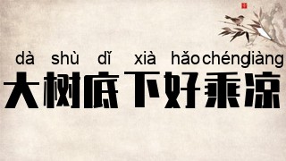 大树底下好乘凉