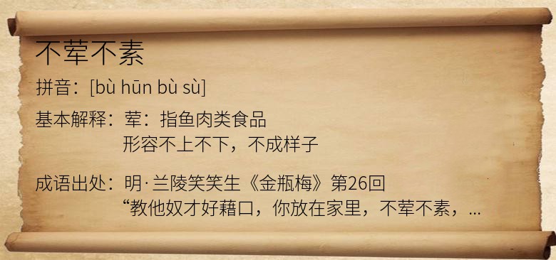 不荤不素