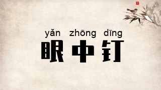 眼中钉
