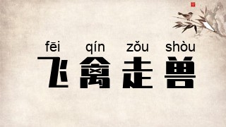 飞禽走兽