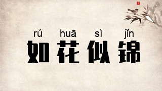 如花似锦