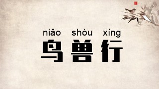 鸟兽行