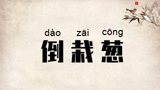 倒栽葱