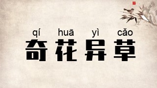 奇花异草