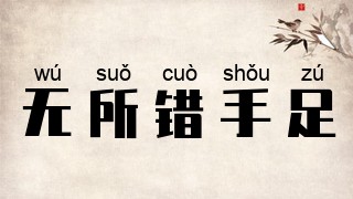 无所错手足