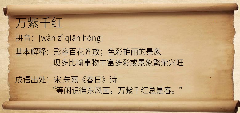 万紫千红