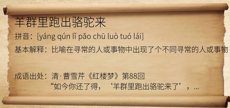 羊群里跑出骆驼来