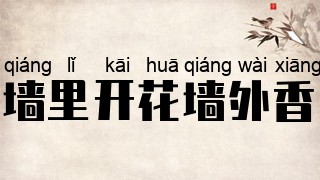 墙里开花墙外香