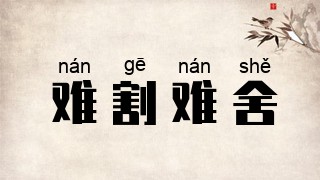 难割难舍