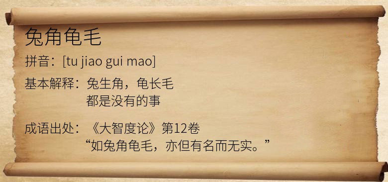 兔角龟毛