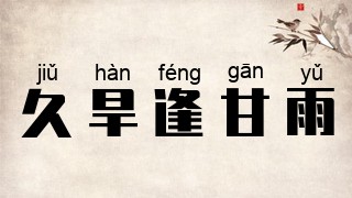 久旱逢甘雨