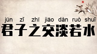君子之交淡若水