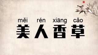 美人香草