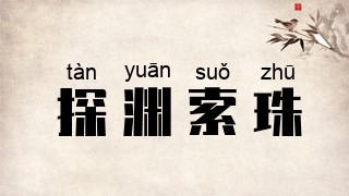 探渊索珠