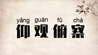 仰观俯察