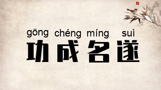 功成名遂