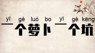 一个萝卜一个坑