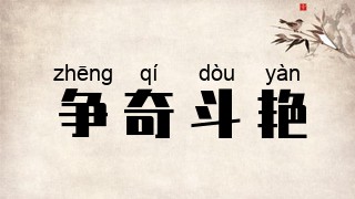 争奇斗艳