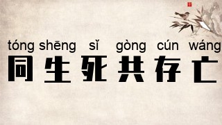 同生死共存亡
